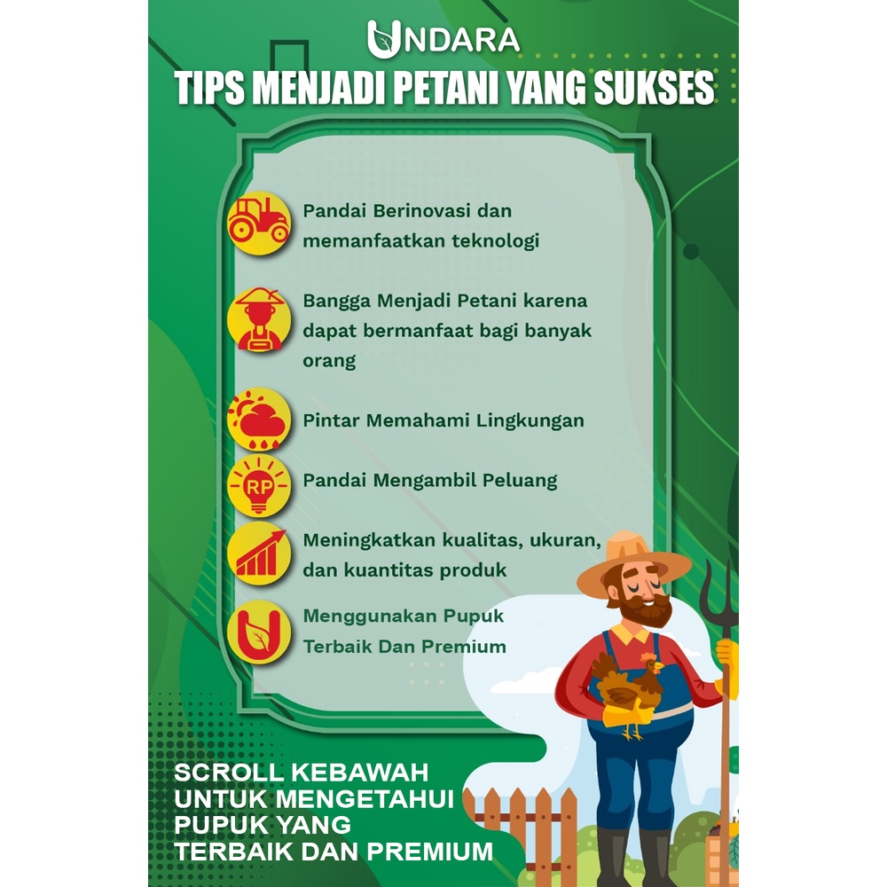 Spray Undara Cair tanaman membantu pertumbuhan dan perkembangan tumbuhan secara alami dengan bahan organik