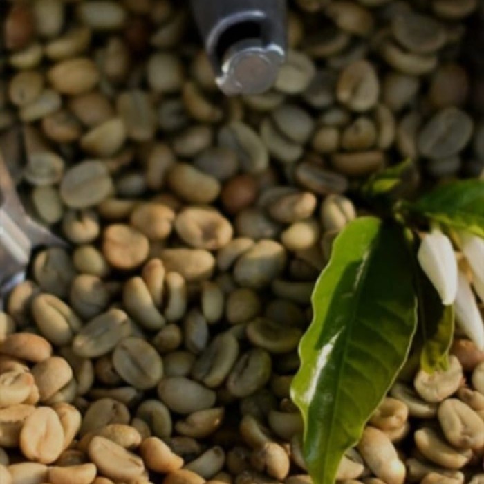 

green bean black honey malabar