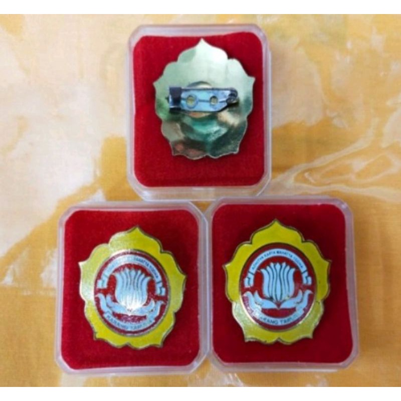 pin karang taruna