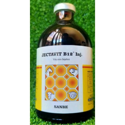 JECTAVIT B12 100 ML