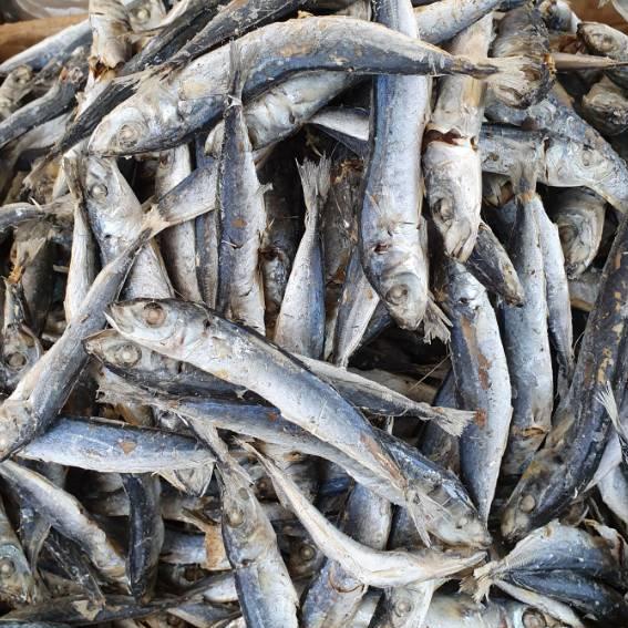 

Skip Aja!! Ikan asin layang rebus-500gram