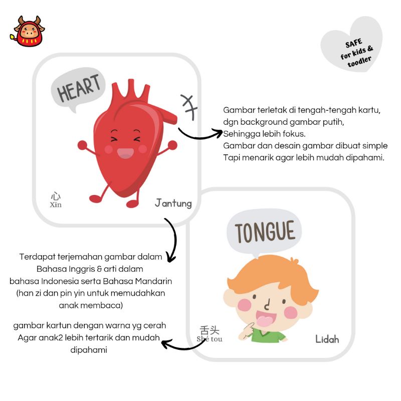 Flash card body parts and organ kids toddler kartu pintar anak belajar