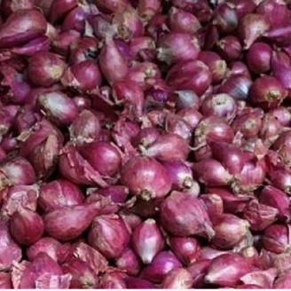 

Bawang Merah Brebes 1kg