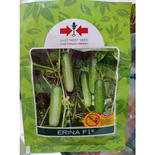 Benih Timun Erina F1 800 biji