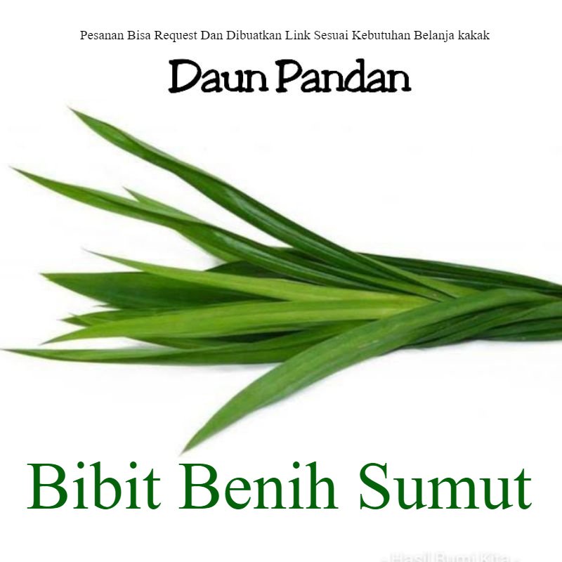 

Daun Pandan 100gram Sayur Curah Daun Suji Pandan Wangi Tanaman Herbal Pewangi Masakan Pewangi Kopi Bila ingin order banyak bisa kami buatkan link khusus ya kak