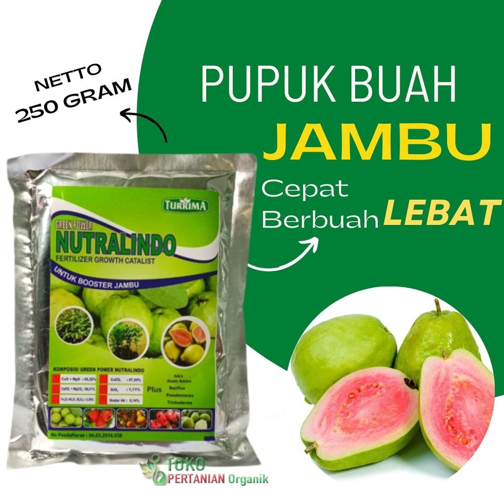 Pupuk booster jambu jamaika, Nutrisi buah jambu kristal, Booster NUTRALINDO jambu jamaika
