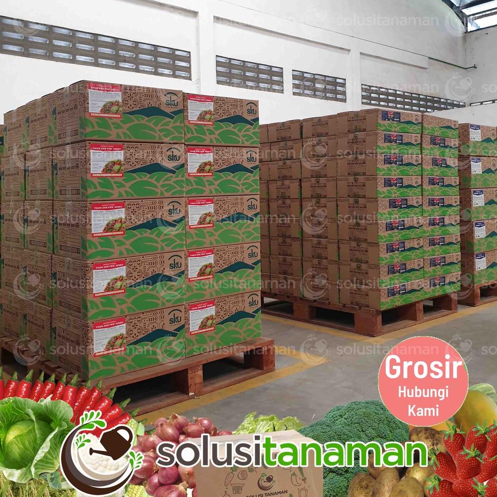 0M8 Benih Semangka Red New Dragon F1 20gr (400 Biji) Bibit Semangka Ta Fung Benih Semangka Tafung Wa