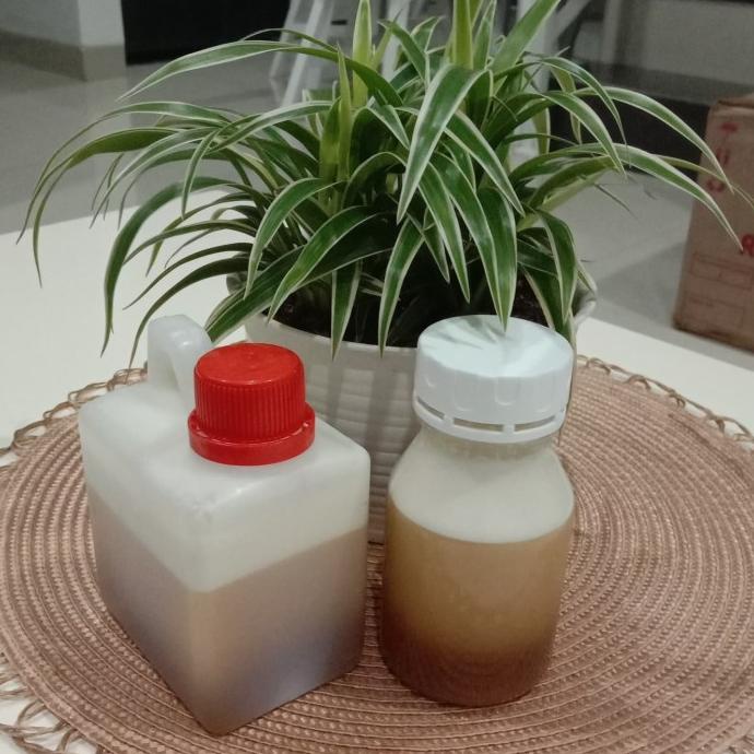 

TERBAIK MADU BADUY SUPER 500G BERKUALITAS