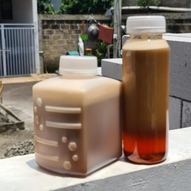 

TERBARU MADU JAMBI PREMIUM 1/2KG TERBAIK