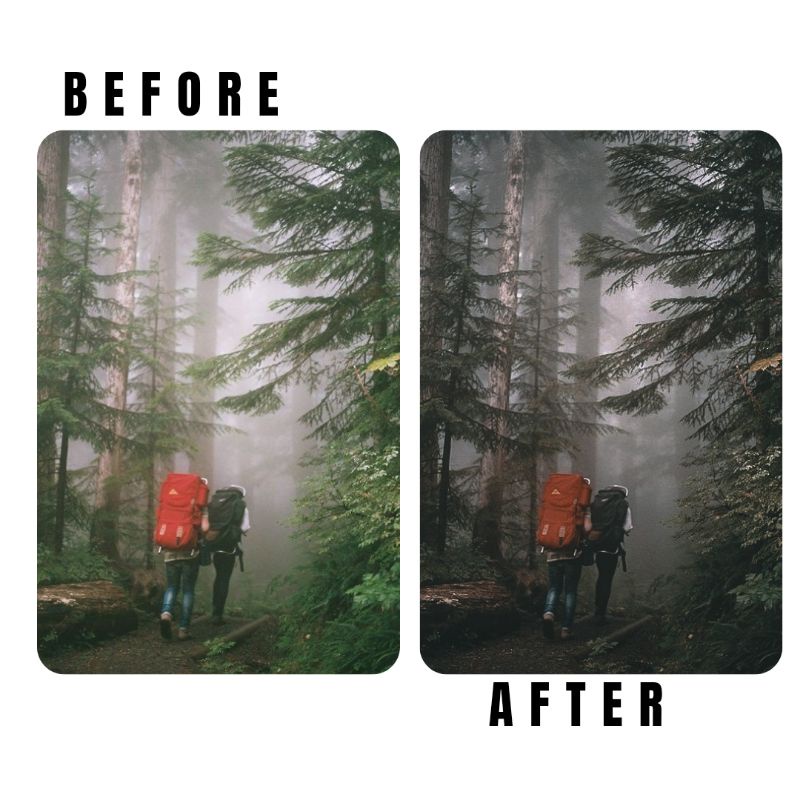 10 Lightroom Preset Wildsoul IOS/Android and Dekstop