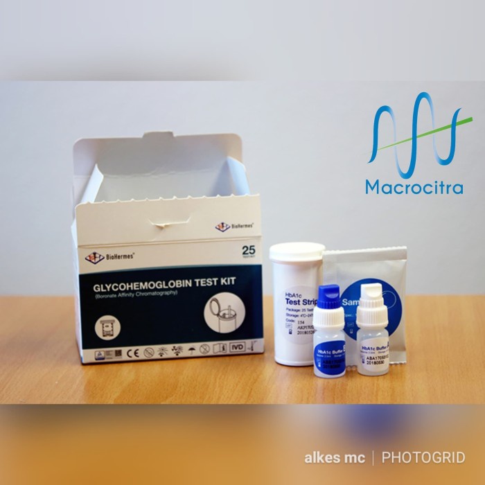 STRIP BioHermes Hb A1C EZ 2.0 HbA1c gula darah tes