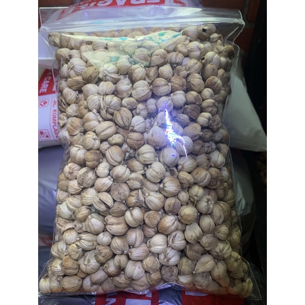 

kapolaga jawa putih premium quality