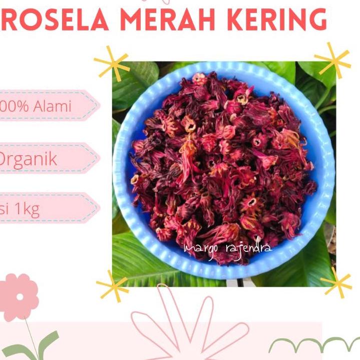 

ㅵ PROMO Rosella Kering 1kg Murah Teh Diet Rosela Merah Alami Organik お