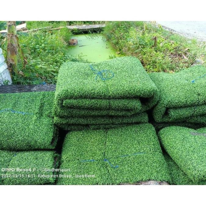 Rumput Sintetis Bekas Kualitas Terbaik 70Rb Untuk Ukuran 1Meter Maselson