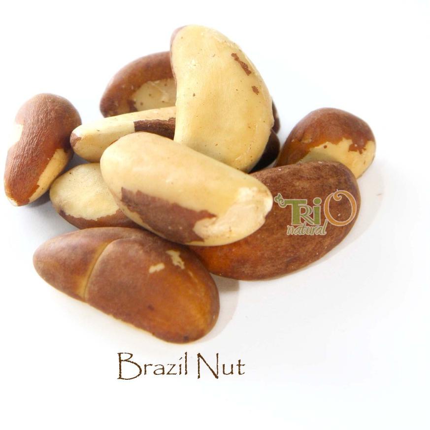 

limited STOCK!Trio Natural Brazil Nut Raw 225 gram|KD3