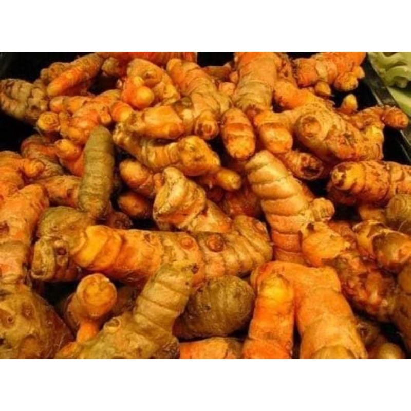 

kunyit kuning kemasan 1 kg