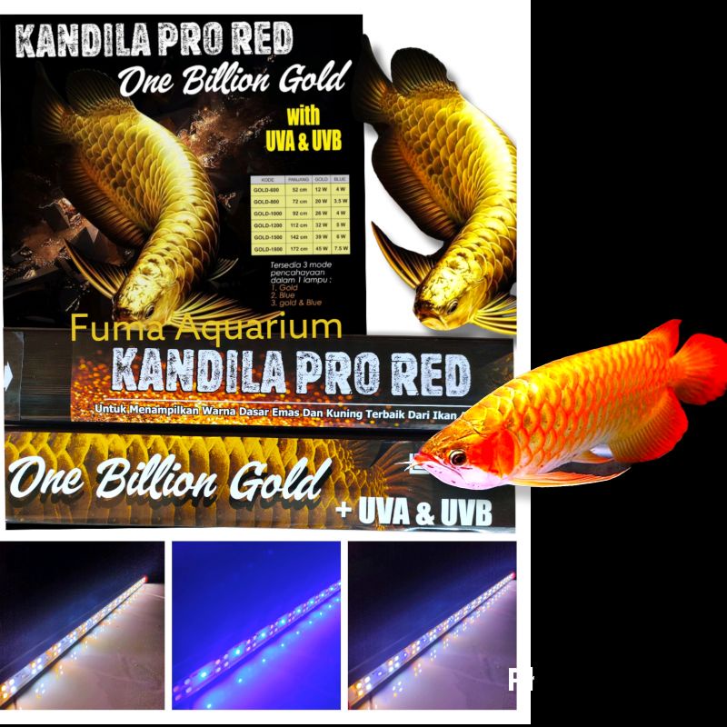 KANDILA PRO RED ONE BILLION GOLD Plus UV A &amp; UV B Nyala 3Mode Pencahayaan Lampu Led Tanning Arwana Golden Red View