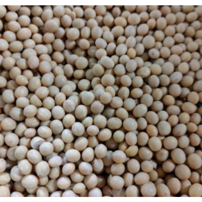 

biji kedelai 250 gr / biji bijian / kacang kacangan