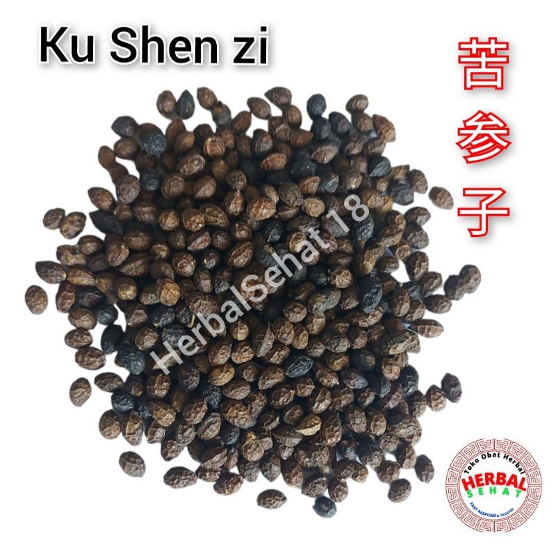 

50 gram - Ku Shen Zi Sophora Flavescens Seeds Sophora Seed