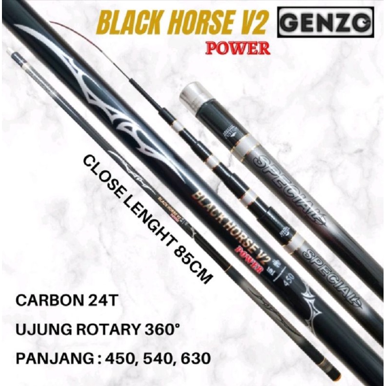 JORAN TEGEK GENZO BLACK HORSE V2 POWER 450/540 ... CARBON
