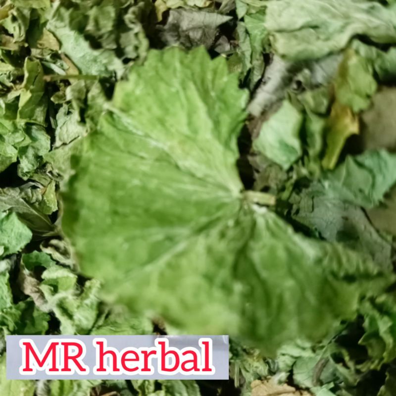 

Daun pegagan antanan kering tanpa batang 30 gram