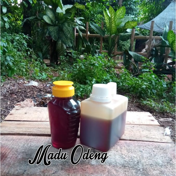 

TERBARU MADU ODENG ASLI ISI BERSIH 500G DISCOUNT