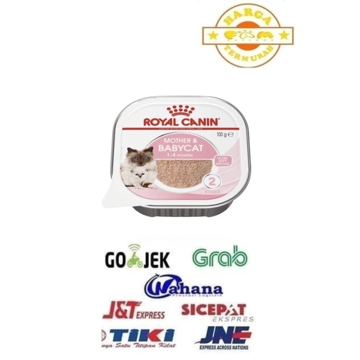 Royal Canin Mother &amp; Baby Cat Basah - Makanan Ibu &amp; Anak Kucing 100gr