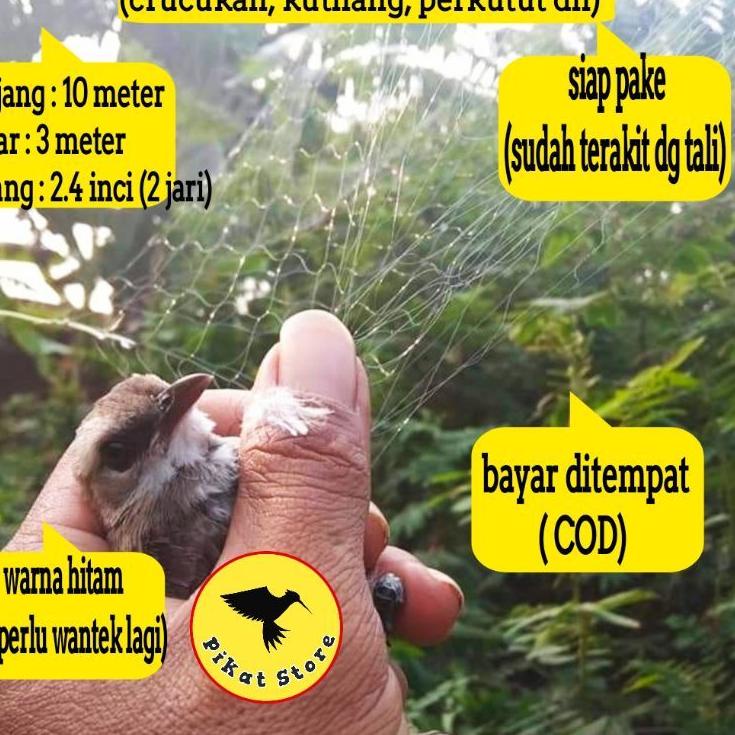 Paling Menarik JARING BURUNG TRUCUKAN  PERKUTUT TEKUKUR JARING BURUNG BESAR JARING BURUNG 2 INCHI 3J