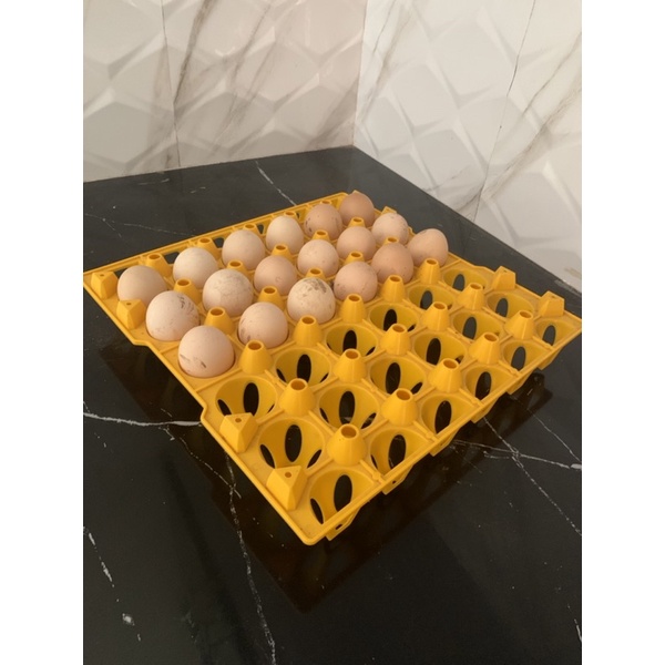 

Telur Ayam Kampung Konsumsi