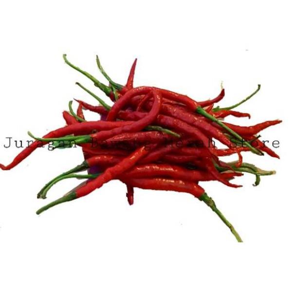 

Terlaku Cabe merah keriting 1 kg N0R