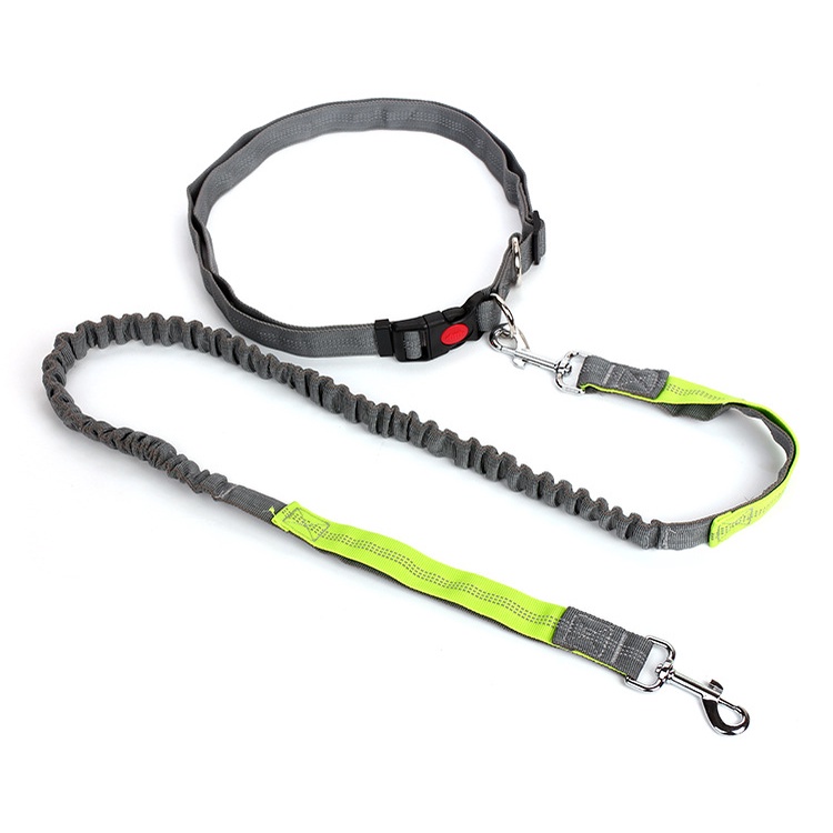 Tali Tuntun Anjing Adjustable Untuk Jogging / Hiking / Jalan-Jalan / Lari