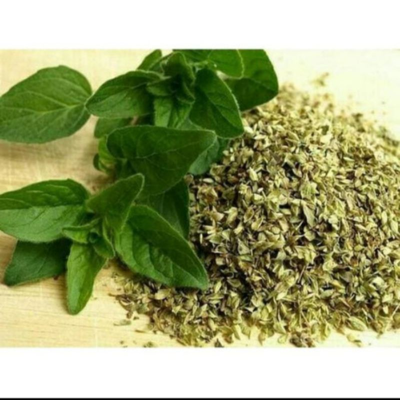 

Daun Basil Kering