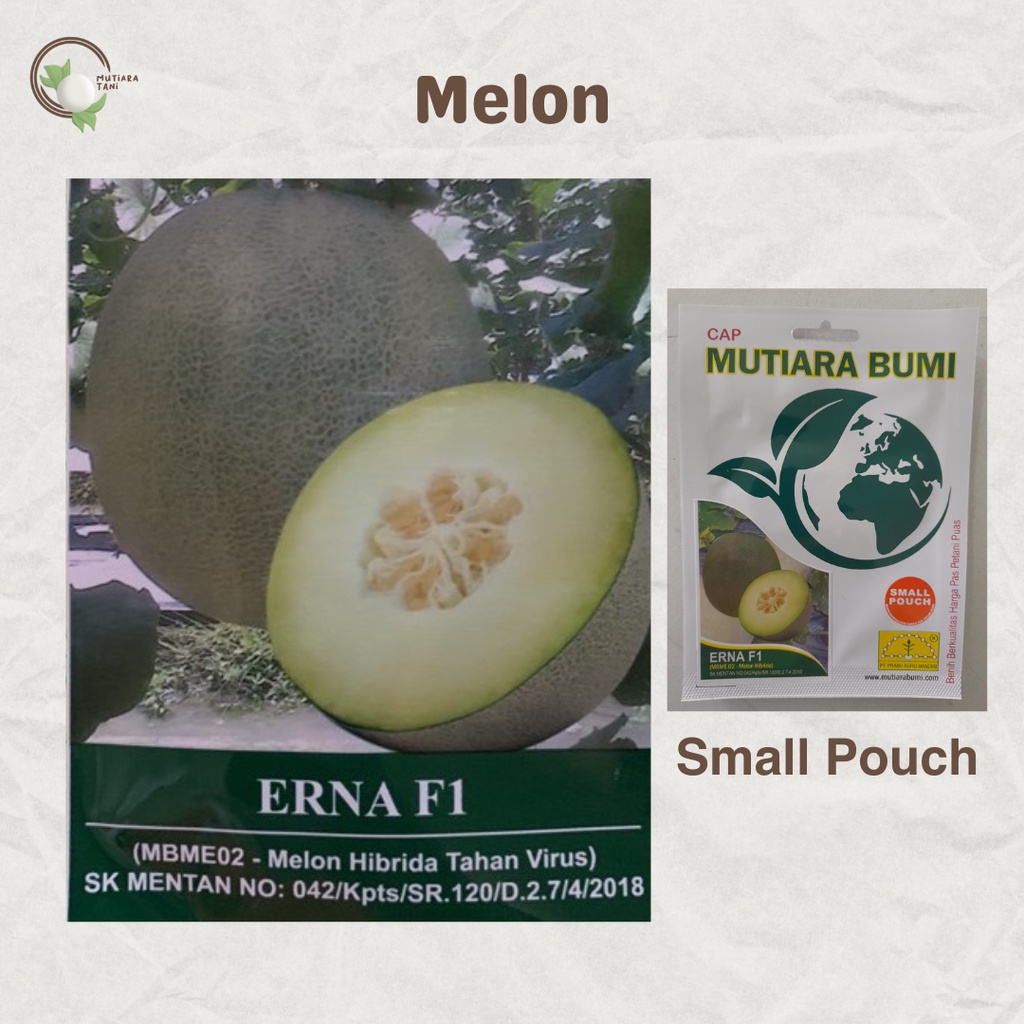 BENIH MELON ERNA F1 CAP MUTIARA BUMI | Small Pouch