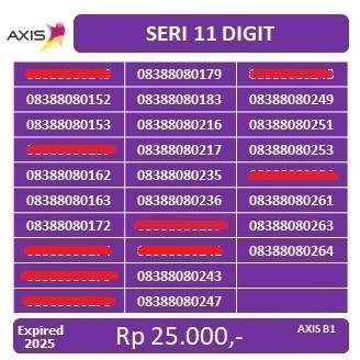 AXIS 11DIGIT 8080