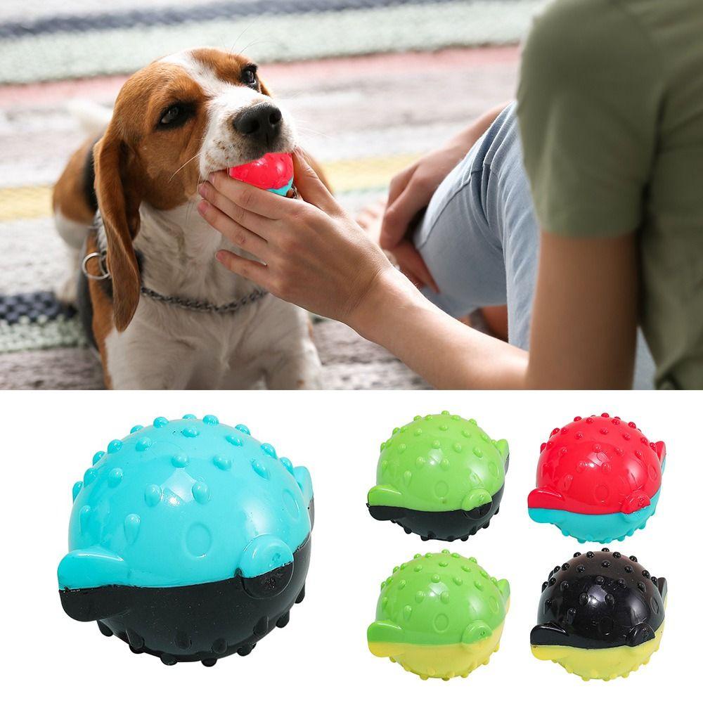 Solighter Floating Ball Produk Hewan Peliharaan Mainan Anjing Lucu Bola Goyang