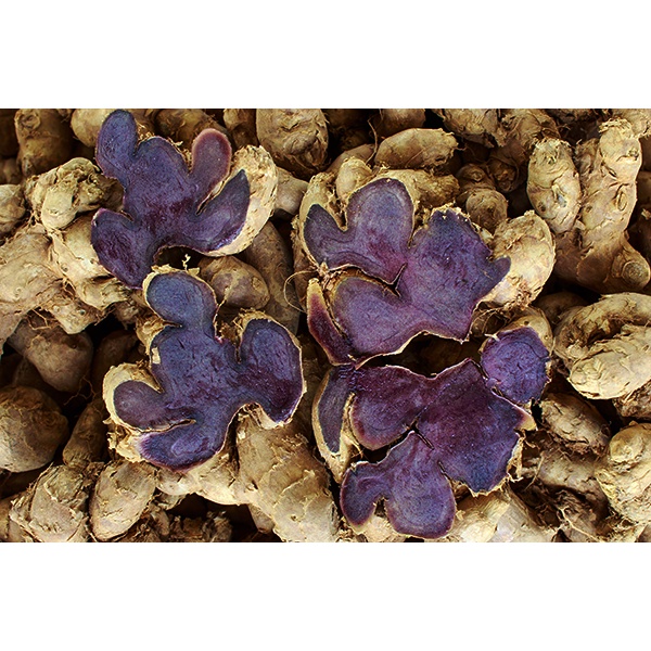

KUNYIT HITAM 580GR