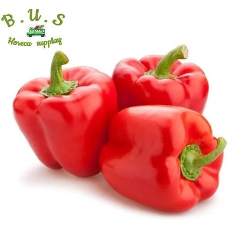 

Paprika Merah 1 Kg B.U.S