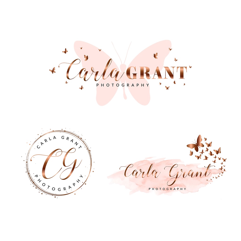 JASA BIKIN DESAIN LOGO OLSHOP BUTTERFLY 2 MEWAH BISNIS KEKINIAN