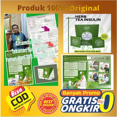 INSULIN,OBAT DIABETES,GULA DARAH,DAUN INSULIN