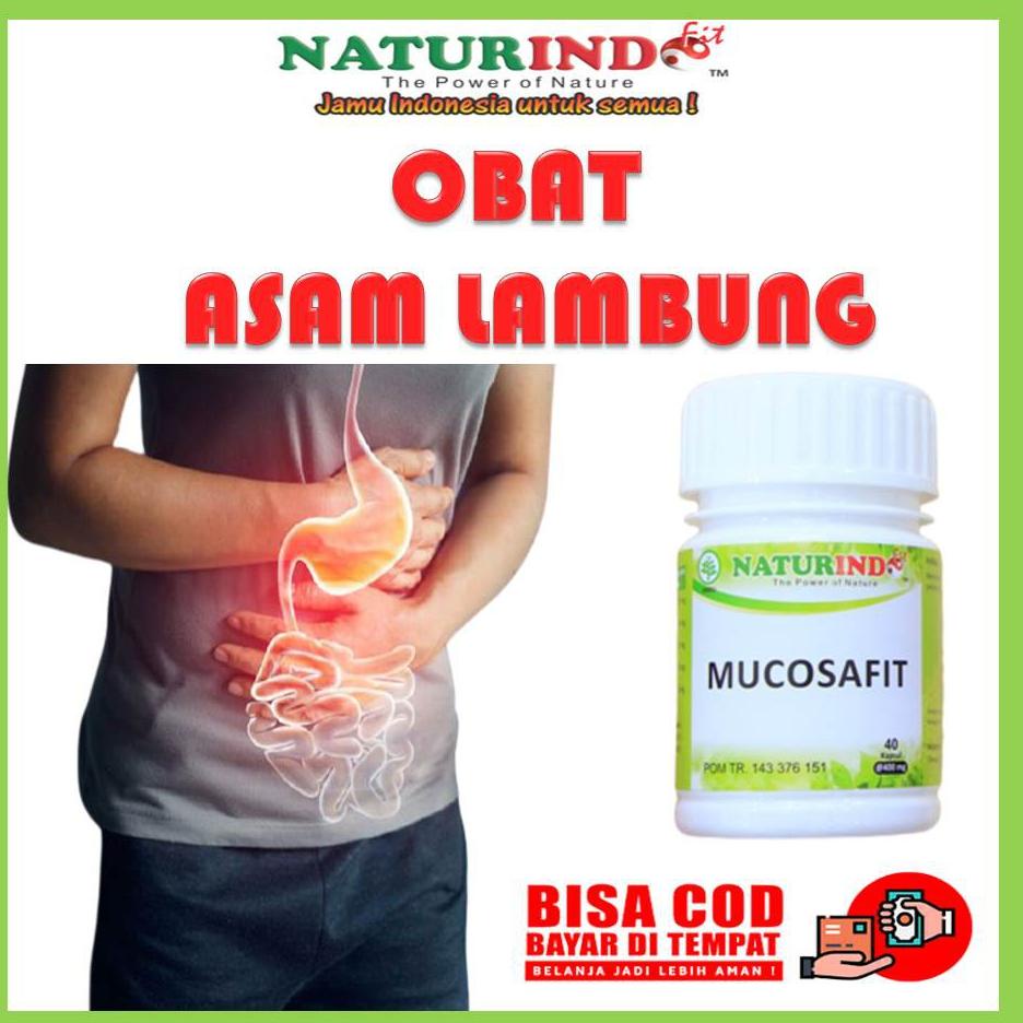 Obat  Asam Lambung Maag Kronis Maag Akut Asam Lambung Kronis Asam Lambung Herbal Kronis