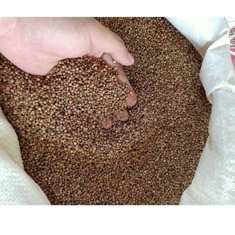

10.10 Brand Ketumbar Hitam ASLI!!! Murni Premium 1KG Kilo Untuk Teh Kesehatan Masak Dll gas !!