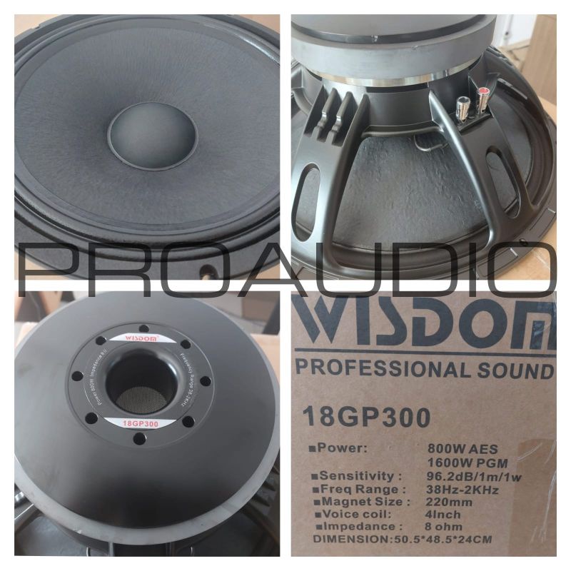 Komponen Speaker Wisdom 18 Inch 18GP300 18 GP300 18GP 300 ORIGINAL