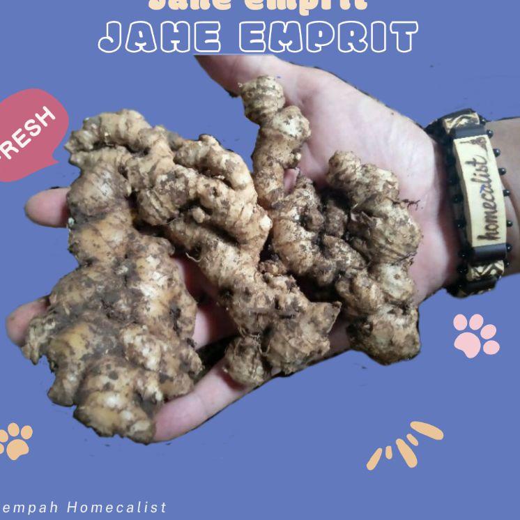 

Lagi Promo--Jahe Emprit Segar 1kg Jahe Mprit Asli