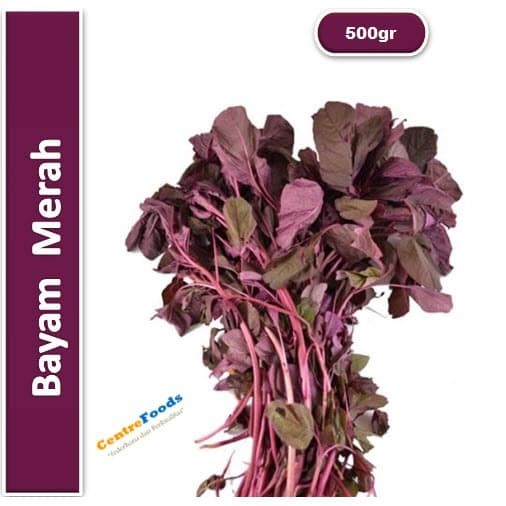 

Sayur Bayam - Bayam Merah Fresh | 500gr [ Harga Per 0,5 Kg ]