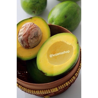 

READY ✅Alpukat Mentega Kojama Premium Quality Reguler Size [3Kg]|RA7