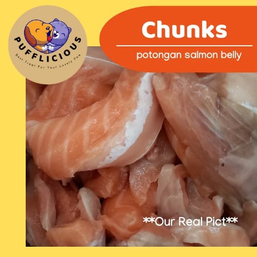 RAW FOOD PREMIUM SALMON