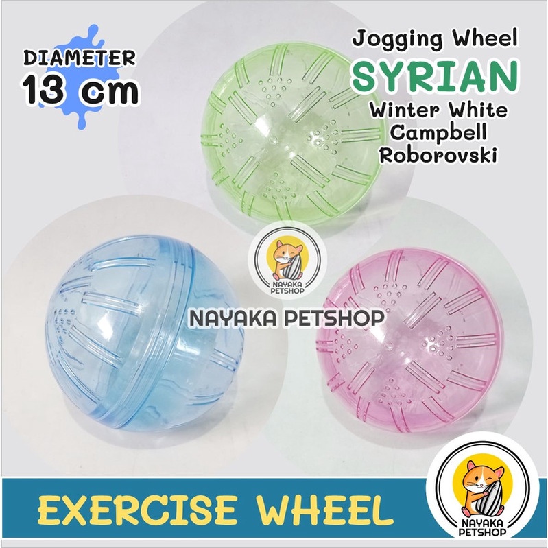 Bola Hamster Syrian Jogging Ball Exercise Wheel Rolling Roda Kincir Mainan Putar Hewan