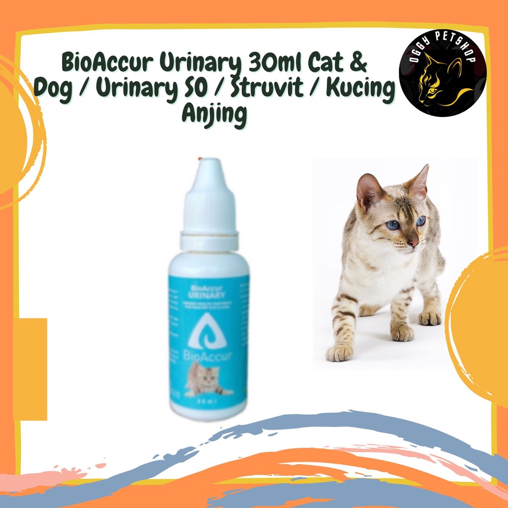 BioAccur Urinary 30ml Cat &amp; Dog / Urinary SO / Struvit / Kucing Anjing