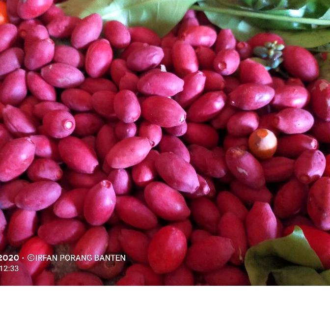 

11.11 Terlaris 1kg kulit melinjo merah mentah untuk konsumsi !!!