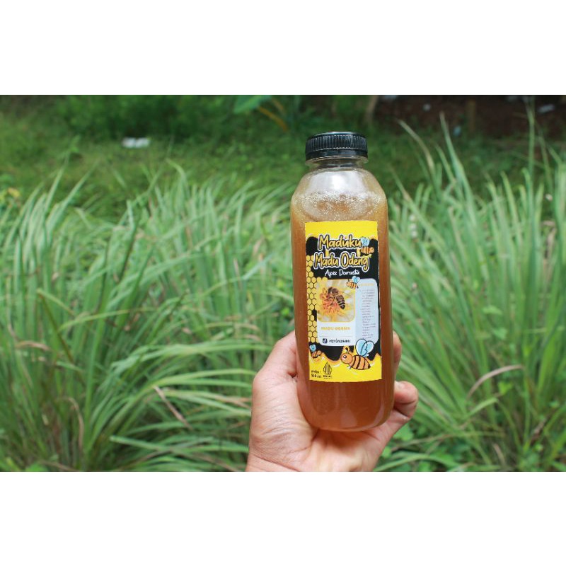

MADU ODENG APIS DORSATA HUTAN LIAR